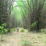 Baarb Queen Halal Restaurant