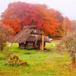 Restoran Craven Cafe