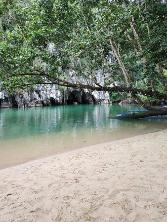 TAGSHACK Shawarma & Kebab